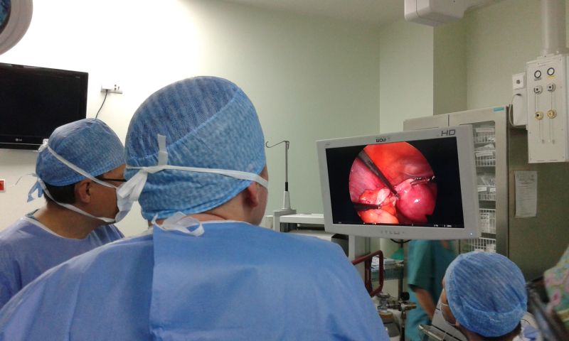 warsztaty_laparoskopowe_09-10_06_2016_02