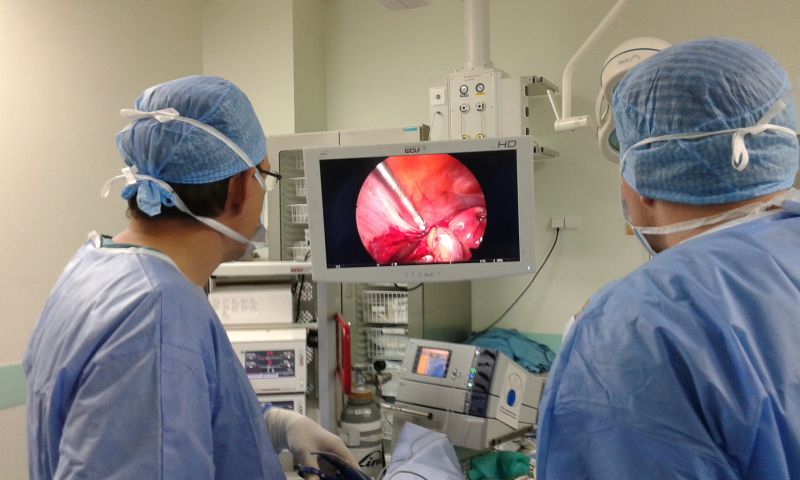 warsztaty_laparoskopowe_09-10_06_2016_03