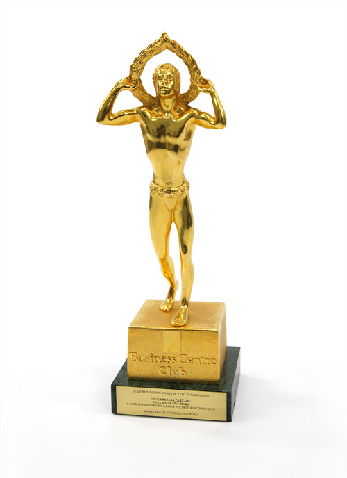 Meden-Inmed Liderem Polskiego Biznesu 2016