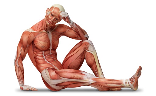 Definicja i znaczenie fizjoterapii