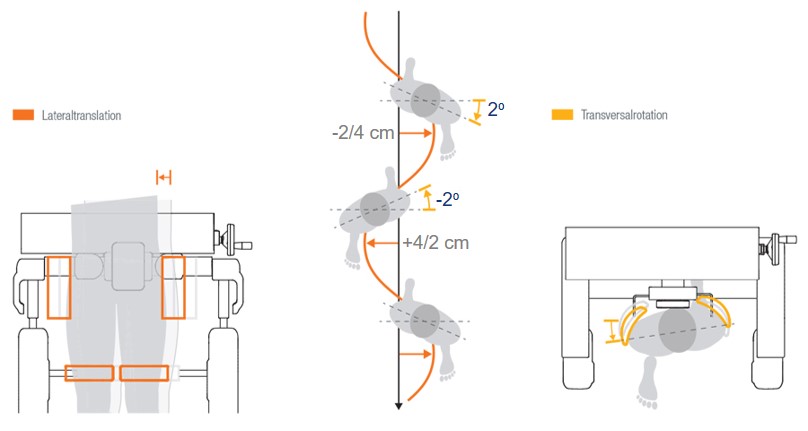 wykres wychylenia podczas terapii robotem Lokomat