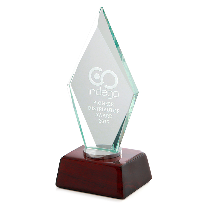 Pioneer Distributor Award