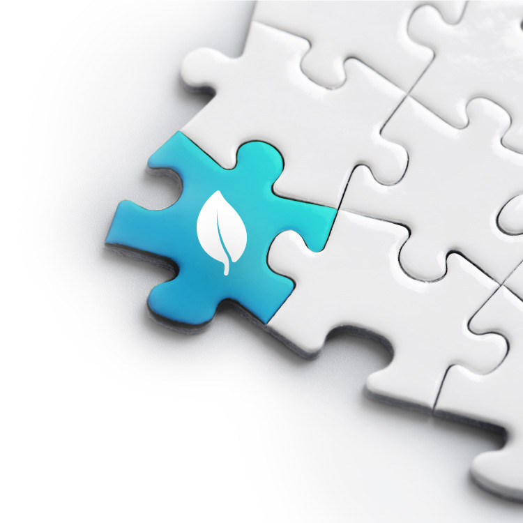 CSR - Społeczna odpowiedzialność biznesu