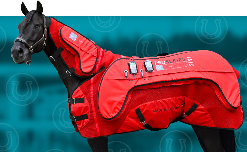 Nowa forma terapii koni - derki magnetyczne