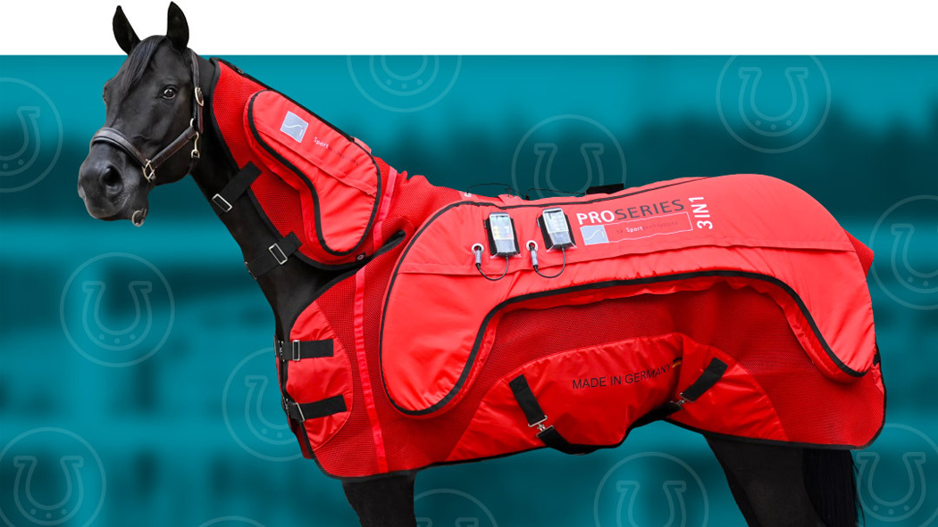 Nowa forma terapii koni - derki magnetyczne